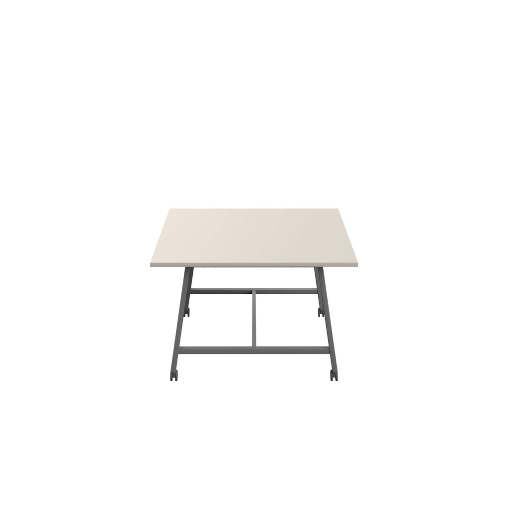 09e6_T-LOW-MM-1510ANTGRY.BASIC.3