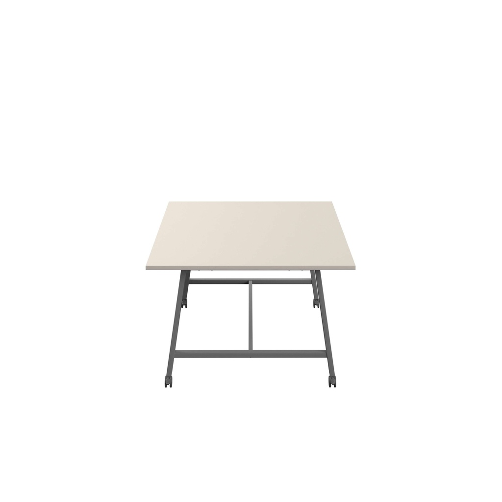 09ef_T-LOW-MM-1810ANTGRY.BASIC.3