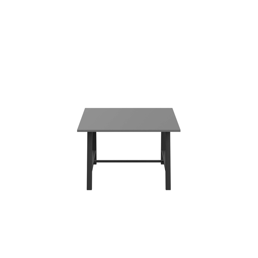 e352_T-LOW-M-1210BKANT.BASIC.2