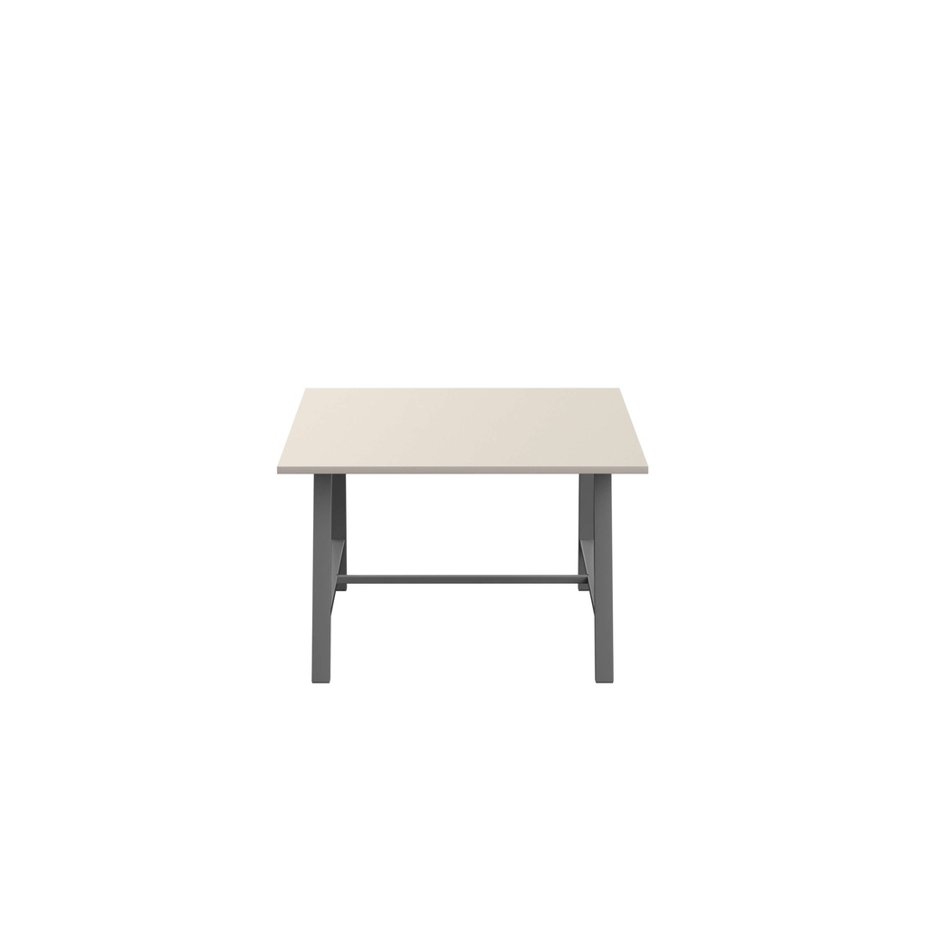 610d_T-LOW-M-1210ANTGRY.BASIC.2