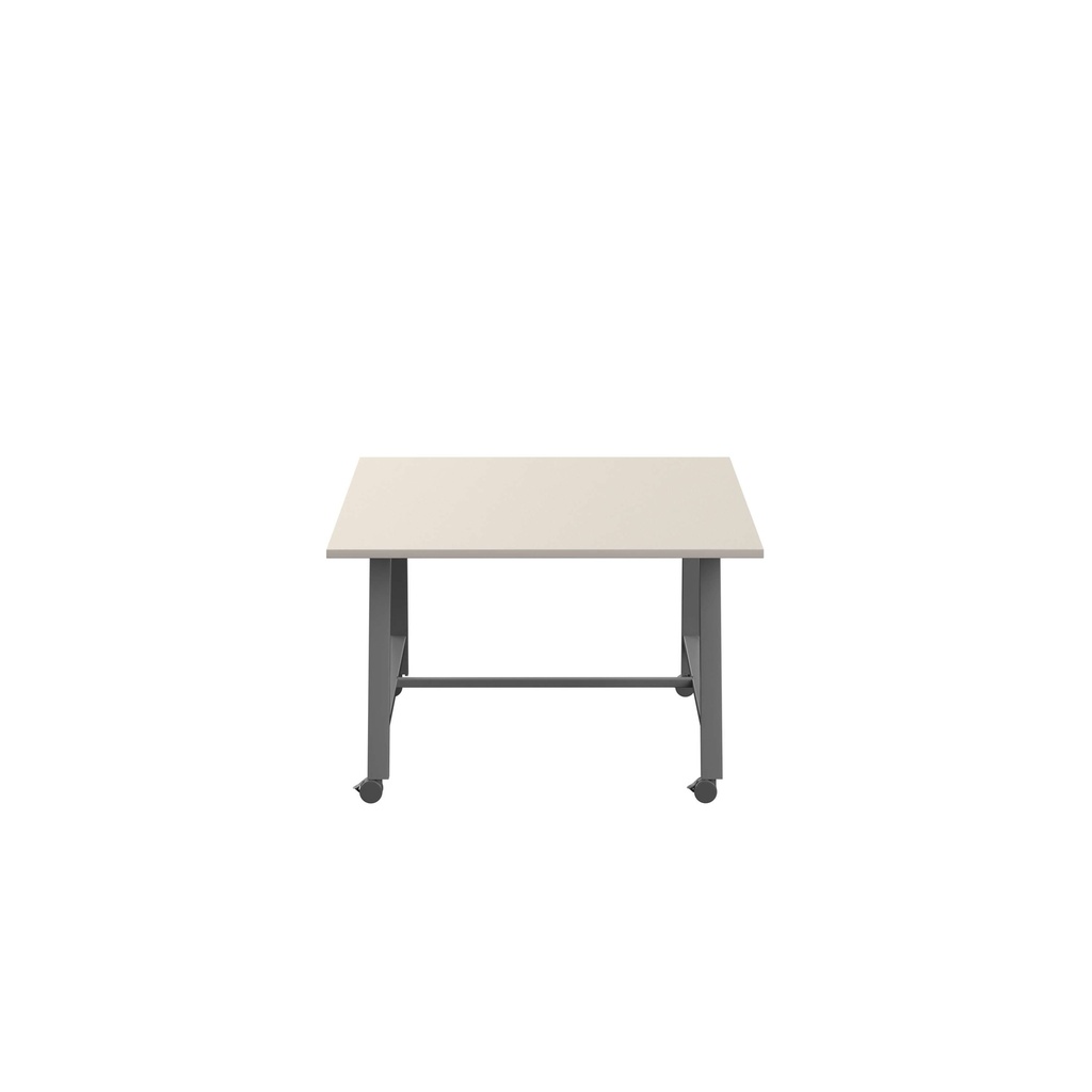 e288_T-LOW-MM-1210ANTGRY.BASIC.2