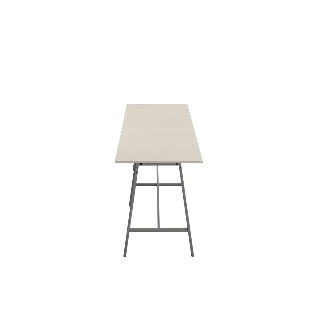 eb2f_T-HIGH-M-1810ANTGRY.BASIC.3