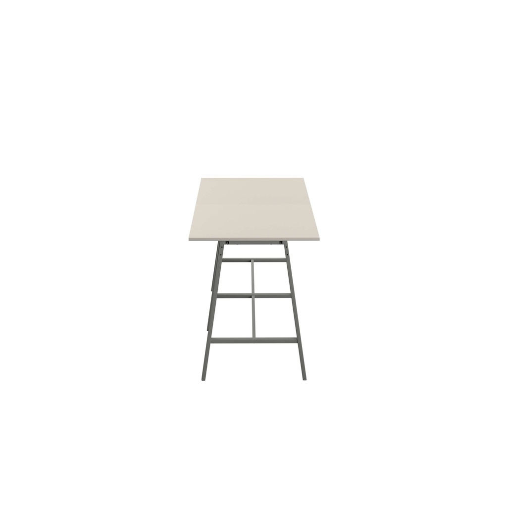 8341_T-HIGH-M-1210ANTGRY.BASIC.3