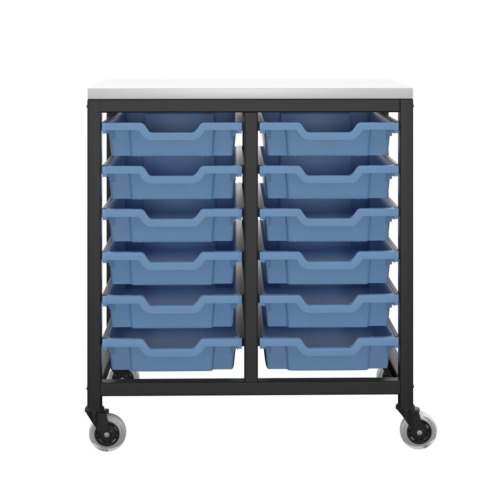 b102_T-STOR-12D-F01BLUE.BASIC.2