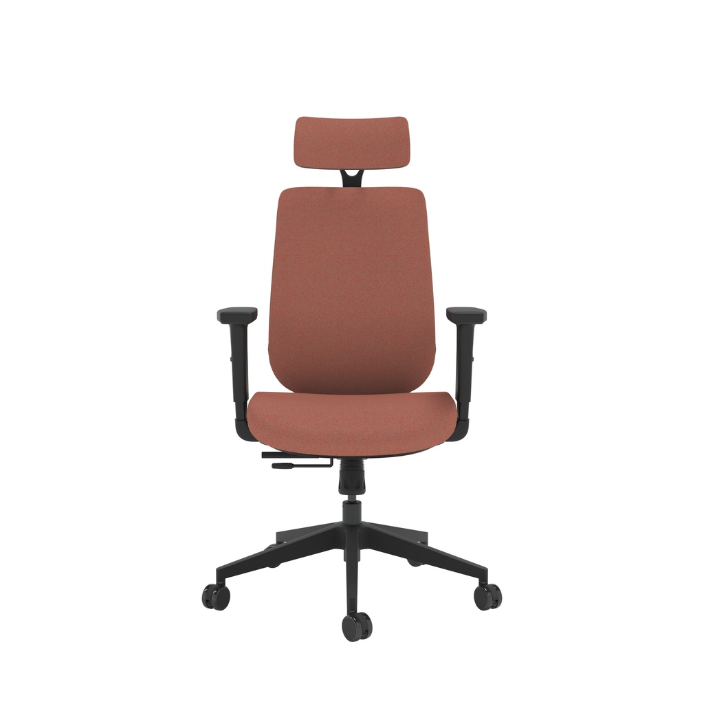 cf22_CH0782ORBK.BASIC.2