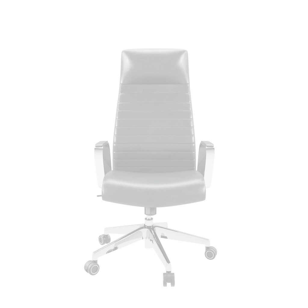 9f8e_CH4201BK.FADED.BASIC.2