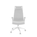 9f8e_CH4201BK.FADED.BASIC.2