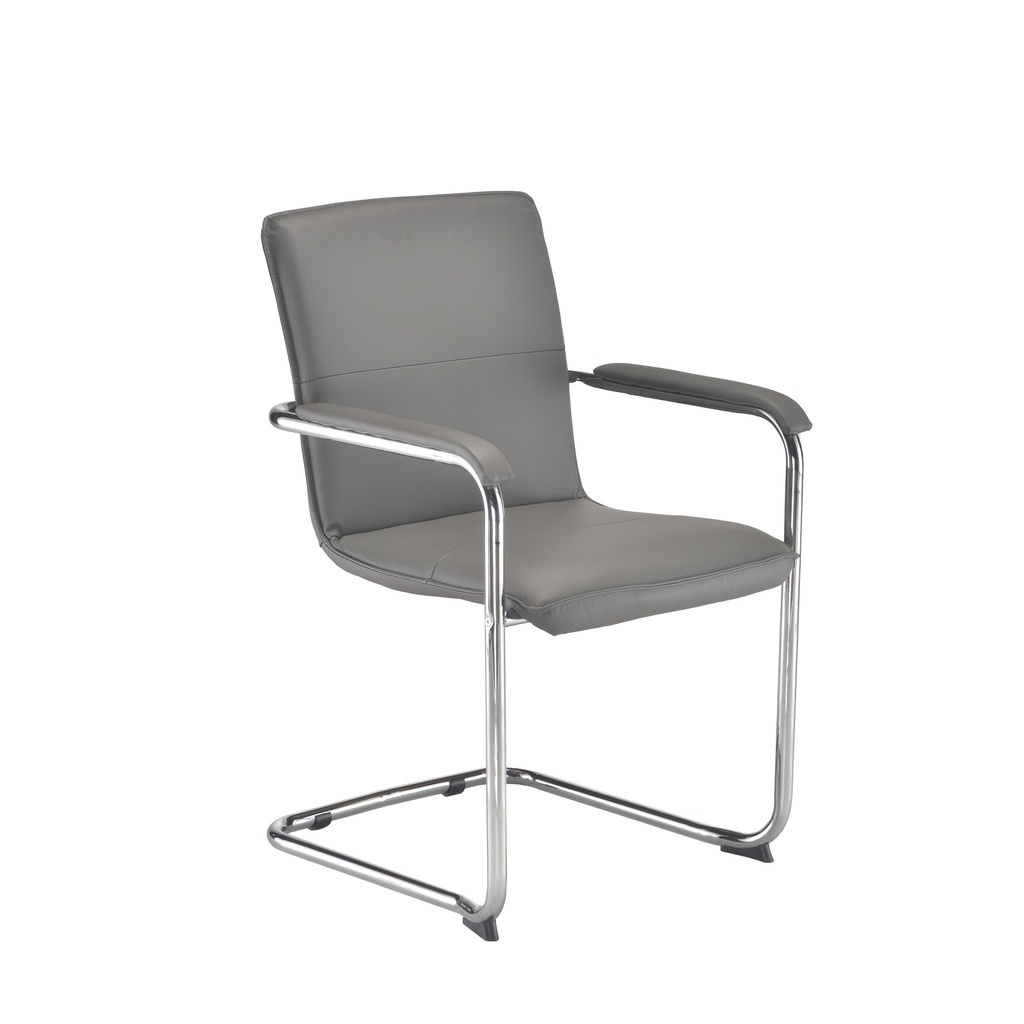 Pavia Grey Pu