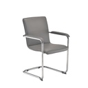 Pavia Grey Pu