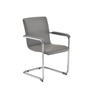 Pavia Grey Pu