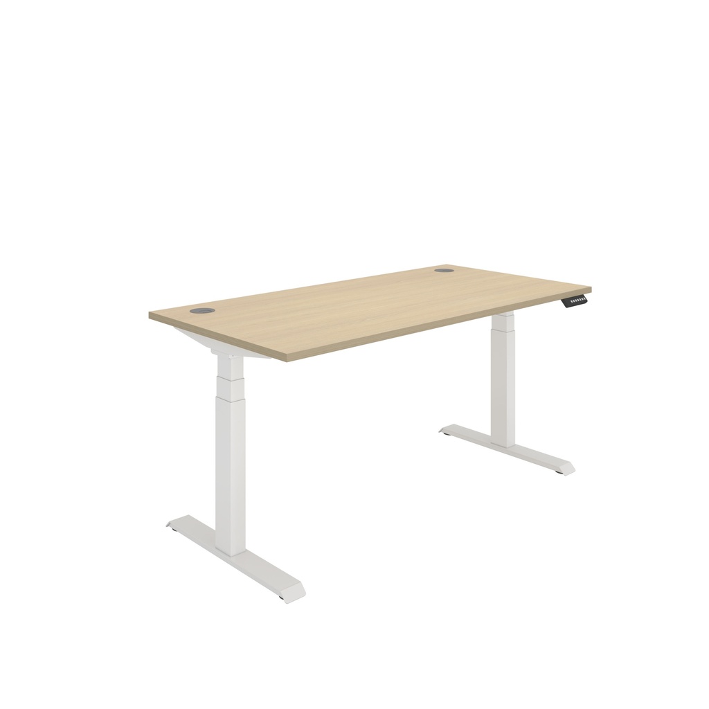 Office Rectangular Dual Motor Sit Stand Desk  (FSC) | 1600X800 | Canadian Oak-White