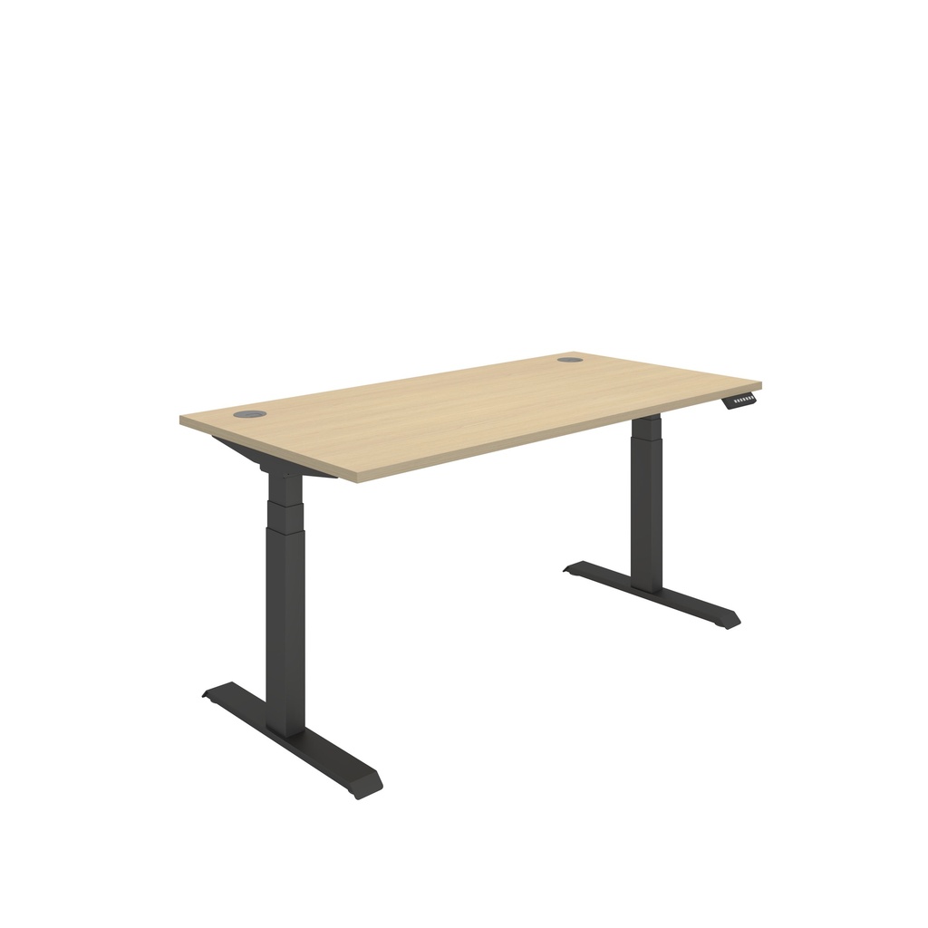 Office Rectangular Dual Motor Sit Stand Desk  (FSC) | 1600X800 | Canadian Oak-Black