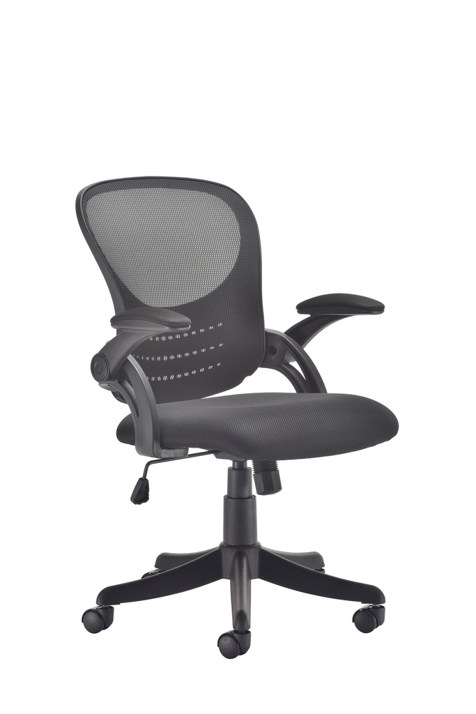 Mesh Back Chair | Folding Arms | Black