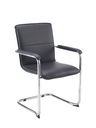 Pavia Visitor Chair