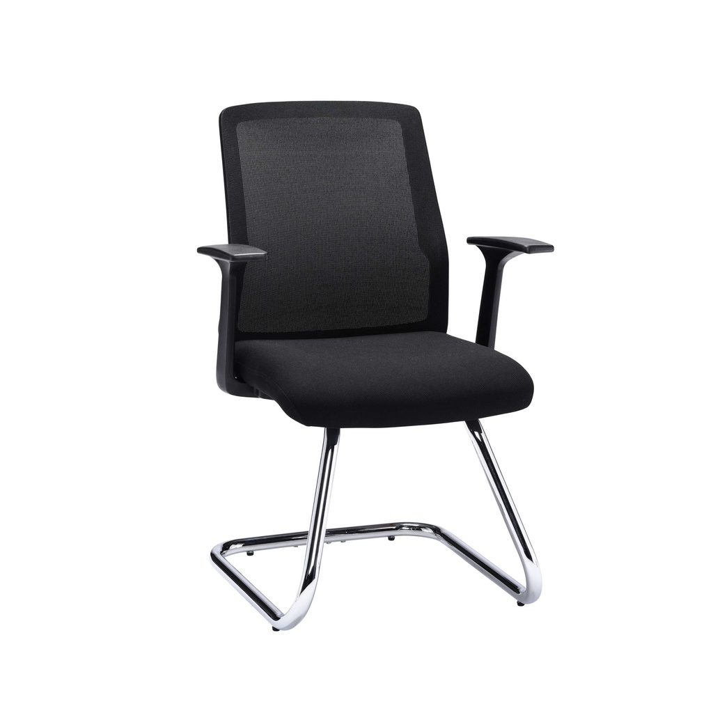 Denali Visitor Chair