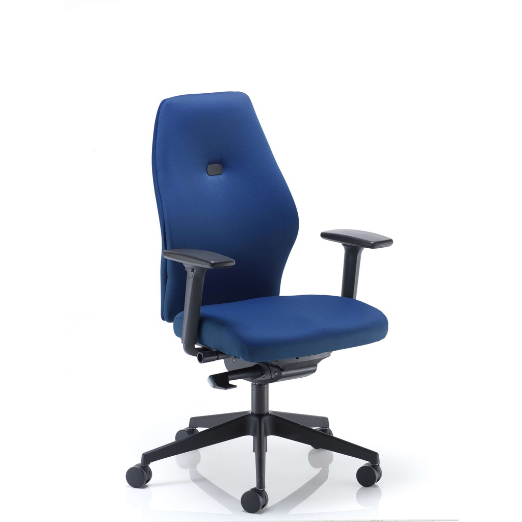 Deluxe Ergonomic Posture Chair Height and Depth Adjustable Arms Blue YP005 Pheonix Curacao