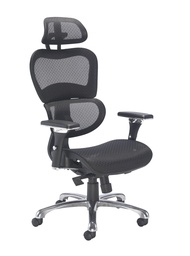 [CH1910] Chachi Ergonomic Office Chair